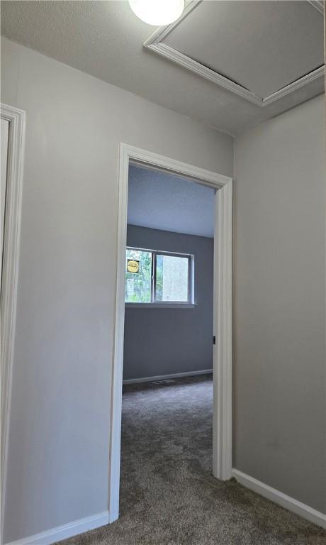900 Lanier Blvd Unit 6, Brunswick, GA 31520 - photo 21