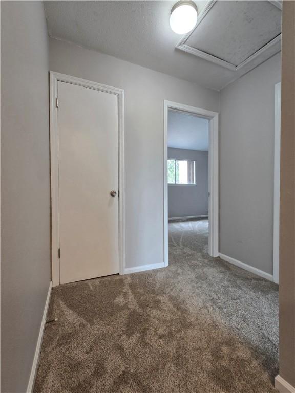 900 Lanier Blvd Unit 6, Brunswick, GA 31520 - carpeted spare room featuring baseboards