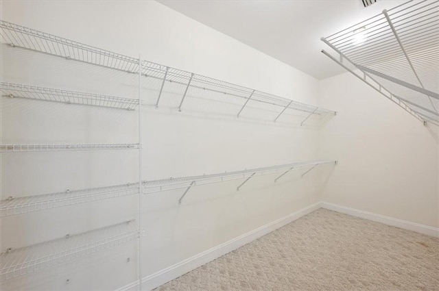 340 Oak Grove Island Dr, Brunswick, GA 31523 - spacious closet featuring carpet floors