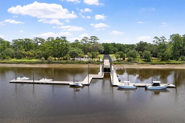 340 Oak Grove Island Dr, Brunswick, GA 31523 - dock with a water view and view of scattered trees