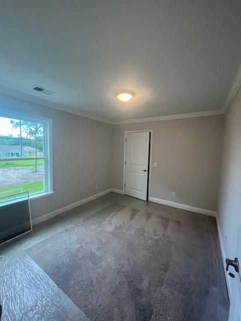 empty room with crown molding and carpet