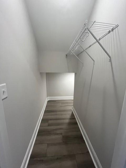 spacious closet featuring dark wood-type flooring