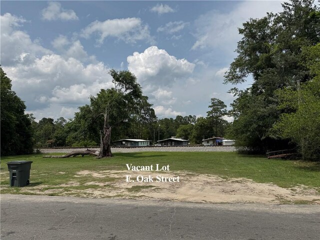 0 E Oak St, Jesup, GA 31546 - photo 10