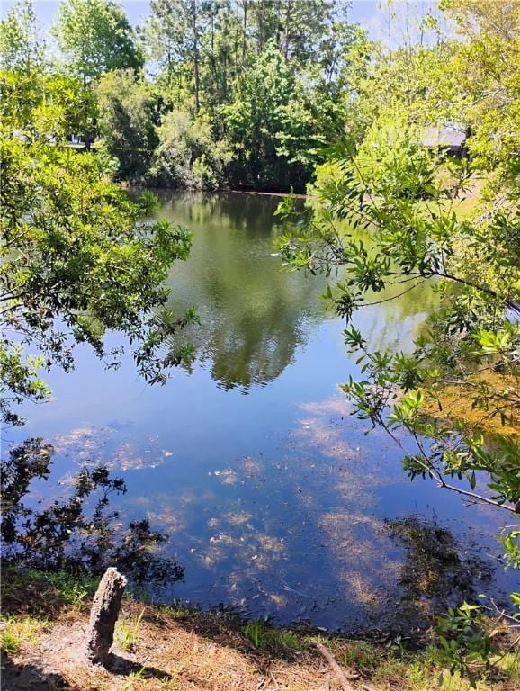 view of water feature