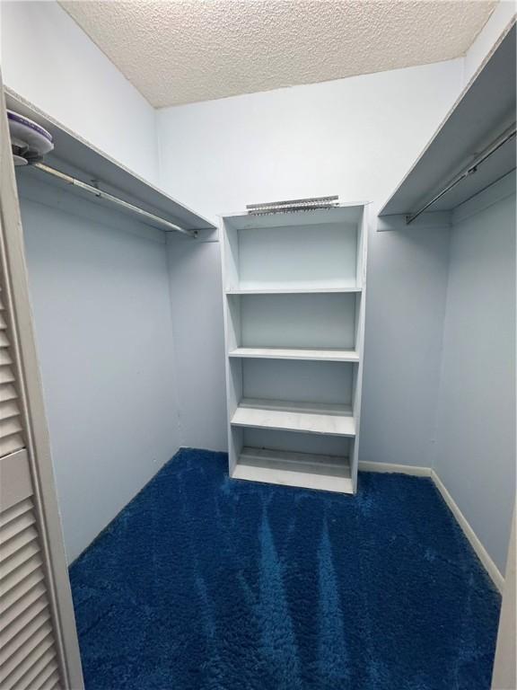 walk in closet with dark colored carpet