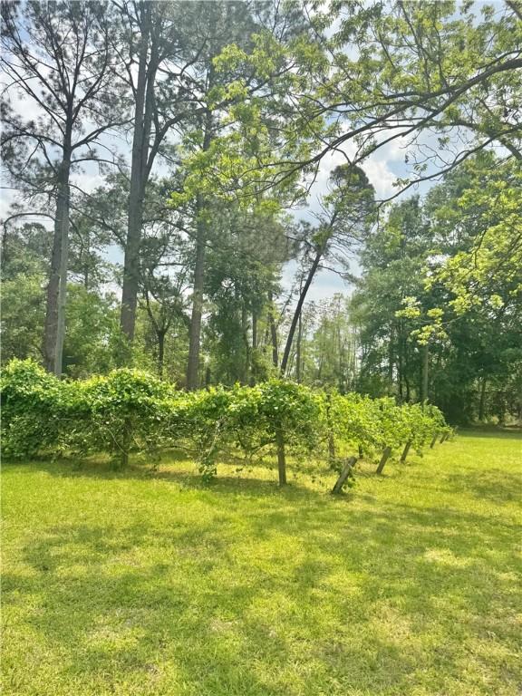 123 Blount St, Reidsville, GA 30453 - view of garage