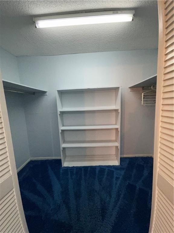 spacious closet featuring dark colored carpet