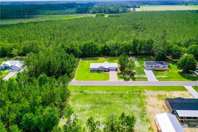 4718 Otter Creek Cir, Blackshear, GA 31516 - bird's eye view of a forest