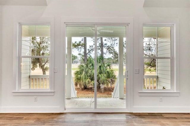 entryway featuring hardwood / wood-style floors