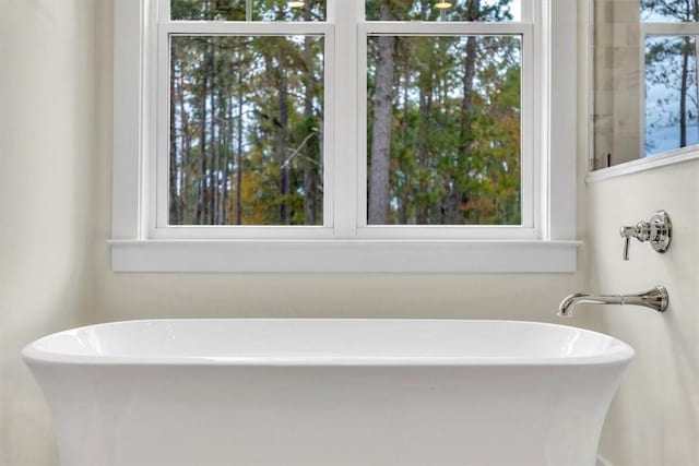 bathroom featuring a bathing tub