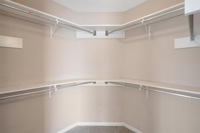 spacious closet with carpet flooring