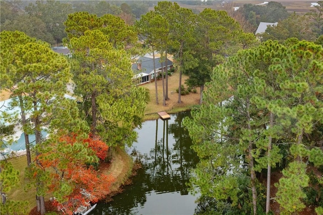 bird's eye view featuring a water view