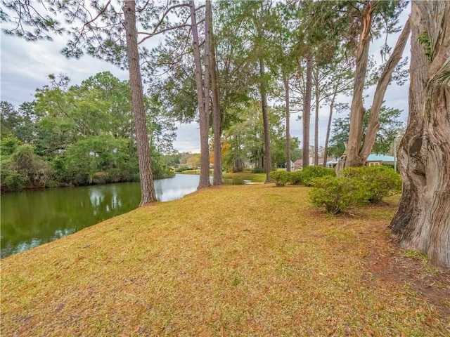 view of yard with a water view