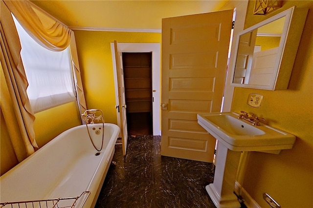 854 Jenkins St, Blackshear, GA 31516 - photo 27