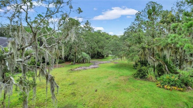 3 Sutherland Bluff Dr NE Lot2, Phase, Townsend, GA 31331 - photo 4