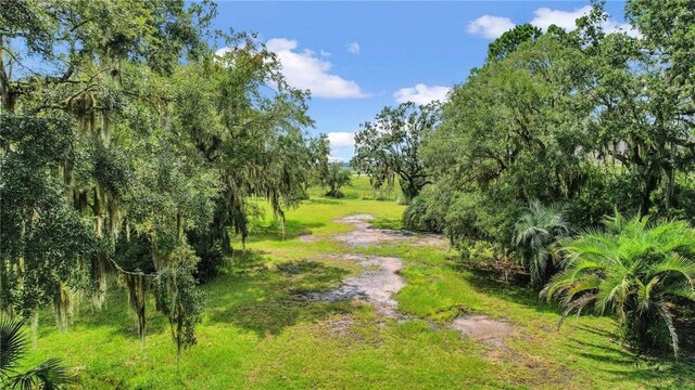3 Sutherland Bluff Dr NE Lot2, Phase, Townsend, GA 31331 - photo 1