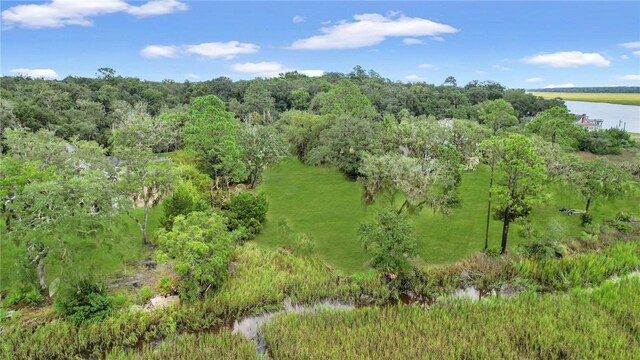 3 Sutherland Bluff Dr NE Lot2, Phase, Townsend, GA 31331 - photo 6