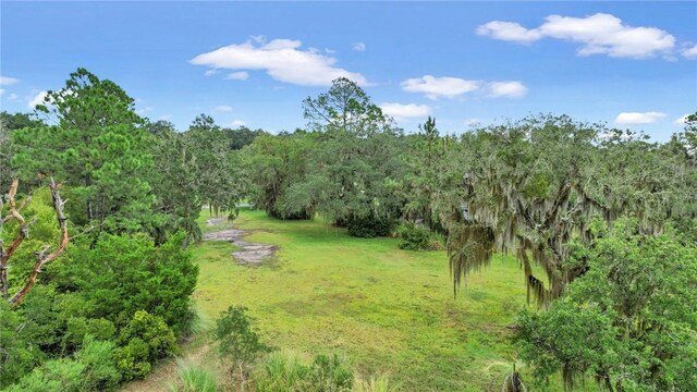 3 Sutherland Bluff Dr NE Lot2, Phase, Townsend, GA 31331 - photo 5