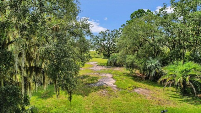 3 Sutherland Bluff Dr NE Lot2, Phase, Townsend, GA 31331 - photo 2