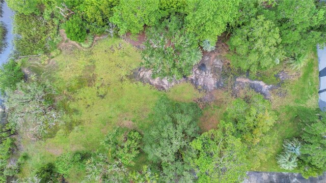 3 Sutherland Bluff Dr NE Lot2, Phase, Townsend, GA 31331 - photo 25