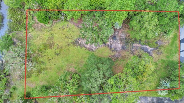 3 Sutherland Bluff Dr NE Lot2, Phase, Townsend, GA 31331 - photo 39