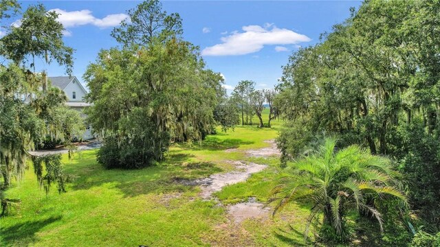 3 Sutherland Bluff Dr NE Lot2, Phase, Townsend, GA 31331 - photo 3