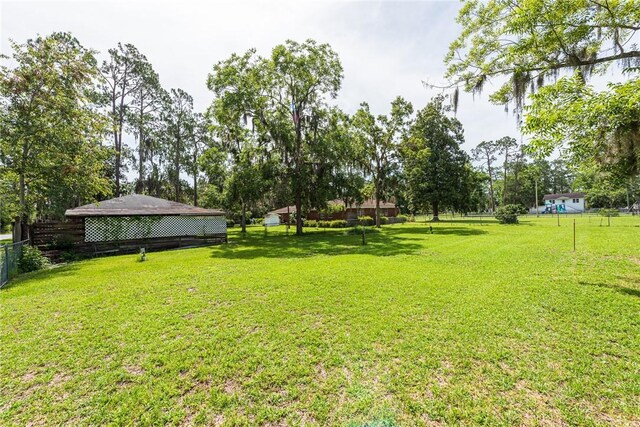 177 Pinewood St, Folkston, GA 31537 - view of yard featuring view of scattered trees