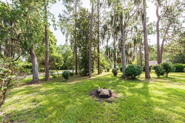 177 Pinewood St, Folkston, GA 31537 - view of green lawn