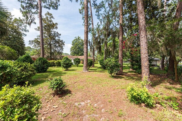 177 Pinewood St, Folkston, GA 31537 - view of grassy yard