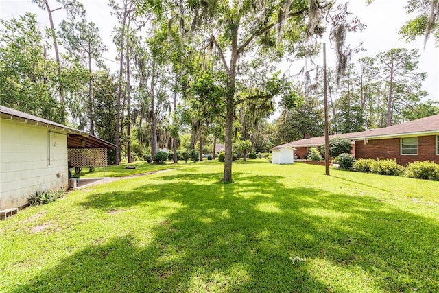 177 Pinewood St, Folkston, GA 31537 - view of green lawn with a storage shed and view of wooded area