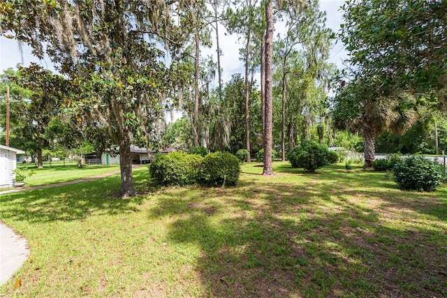 177 Pinewood St, Folkston, GA 31537 - view of grassy yard