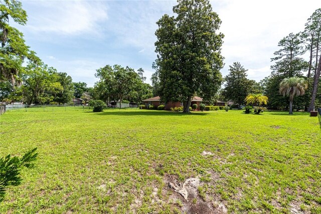 177 Pinewood St, Folkston, GA 31537 - view of yard