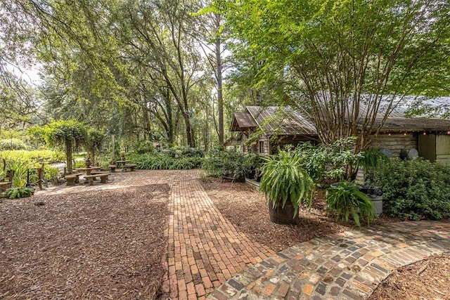 view of yard with a patio