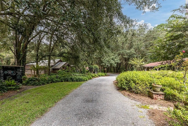 view of property's community featuring gravel driveway