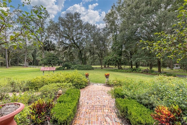 view of yard with a patio