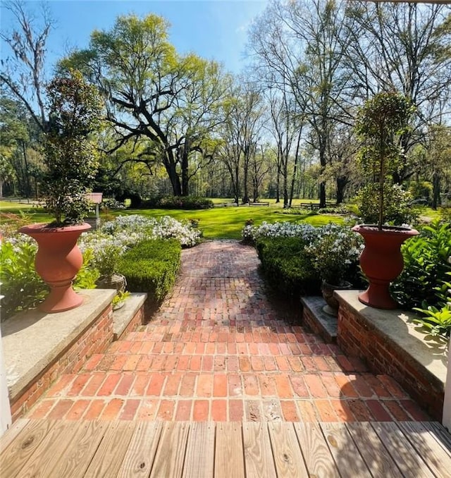 view of community featuring a patio