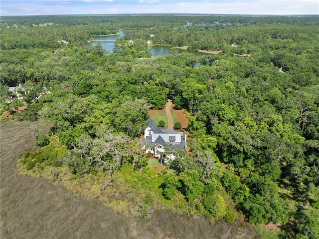 49 Hatton Ln, Saint Simons Island, GA 31522 - bird's eye view of a forest and a nearby body of water