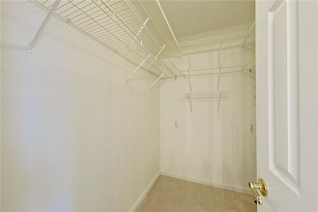walk in closet featuring carpet