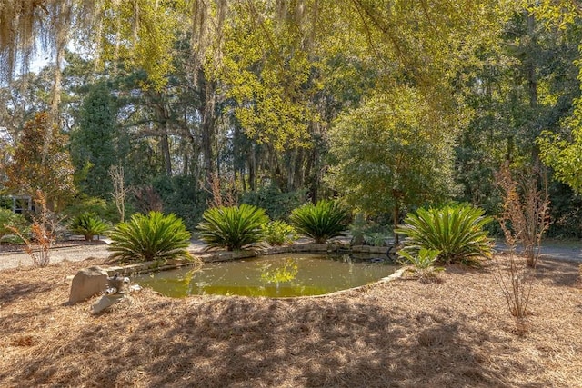 view of yard featuring a water view