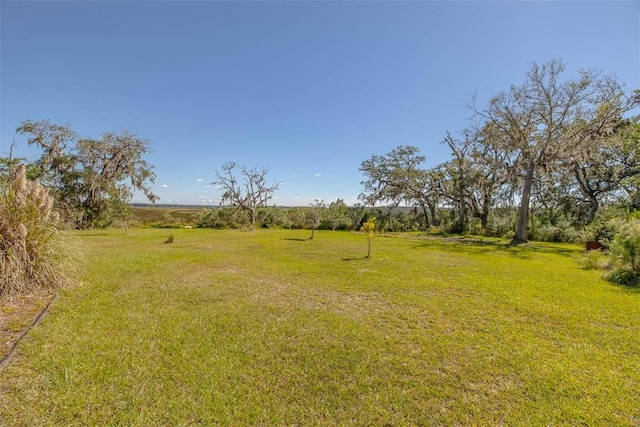 view of yard with a rural view