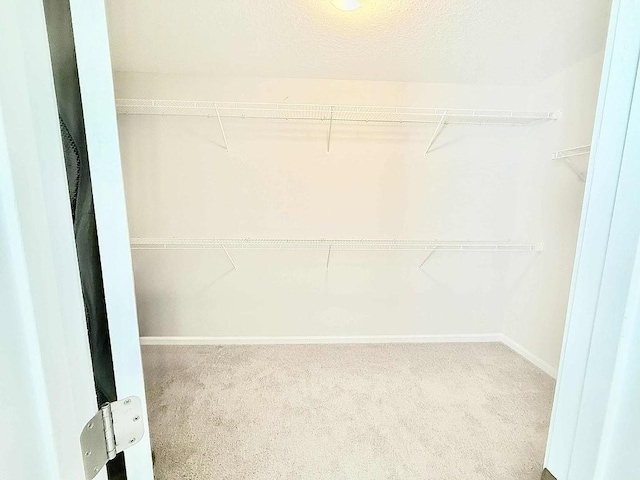 272 NE Whippoorwill Way, Ludowici, GA 31316 - spacious closet with carpet