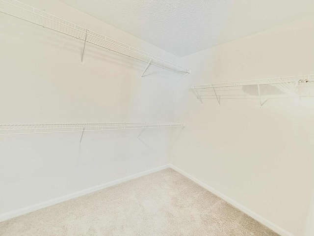 272 NE Whippoorwill Way, Ludowici, GA 31316 - walk in closet featuring carpet flooring