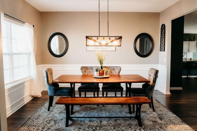 272 NE Whippoorwill Way, Ludowici, GA 31316 - dining space featuring a wainscoted wall, plenty of natural light, and wood finished floors