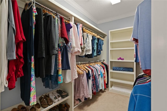 walk in closet with light colored carpet