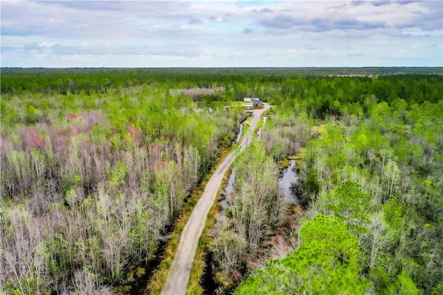 3935 Memorial Dr, Waycross, GA 31503 - birds eye view of property featuring a wooded view