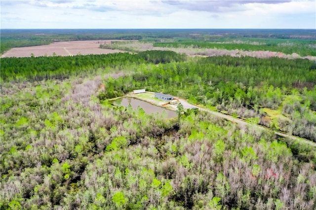 3935 Memorial Dr, Waycross, GA 31503 - drone / aerial view featuring a rural view