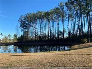 189 Sweetwater Blvd, Brunswick, GA 31525 - photo 3
