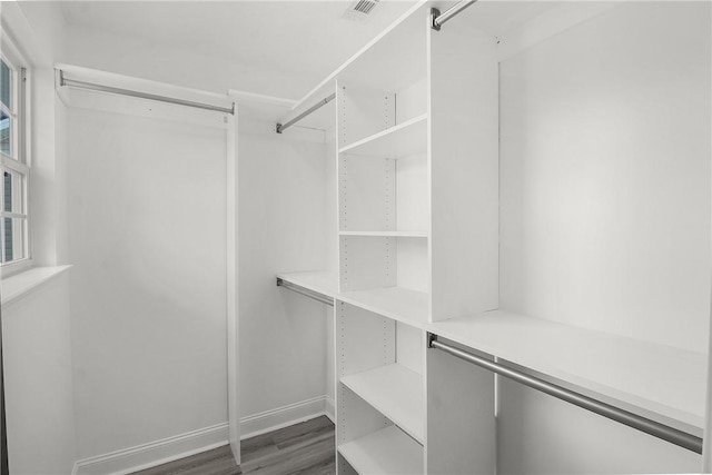 walk in closet featuring dark hardwood / wood-style floors