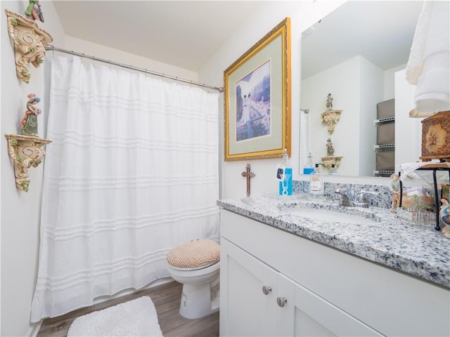 138 Mohr Club Dr, Darien, GA 31305 - bathroom featuring wood finished floors, toilet, vanity, and a shower with shower curtain