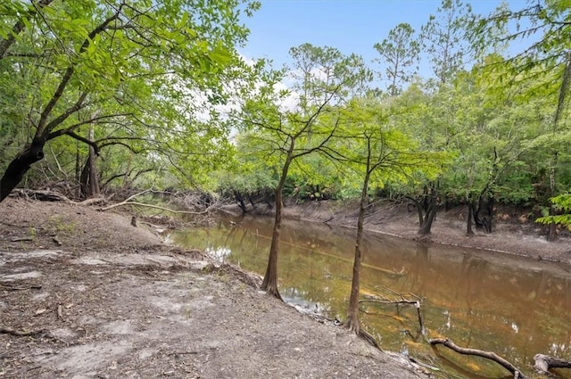 0 Roberson Rd, Hortense, GA 31543 - photo 9